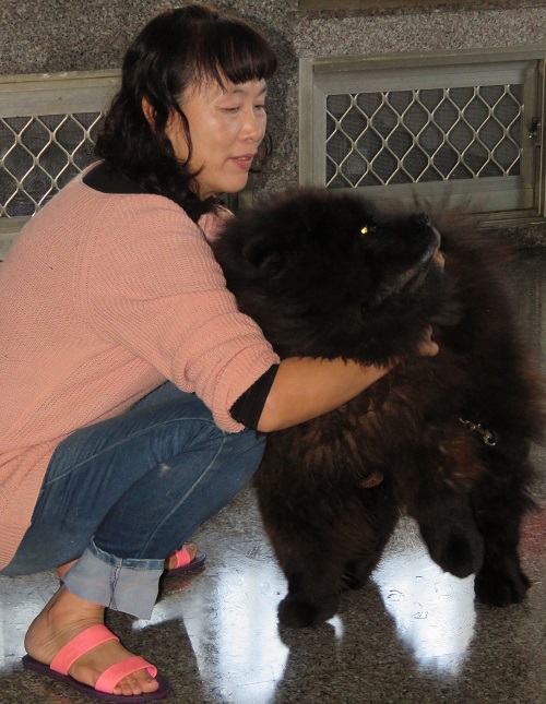 蔡桃貴6年前開始救援流浪狗，迄今已逾160隻。 蕭士塔/攝