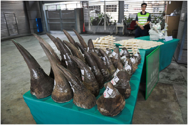 因為亞洲市場對犀牛角的需求，非洲犀牛被大量殘酷盗獵。取自worldanimalnews.com