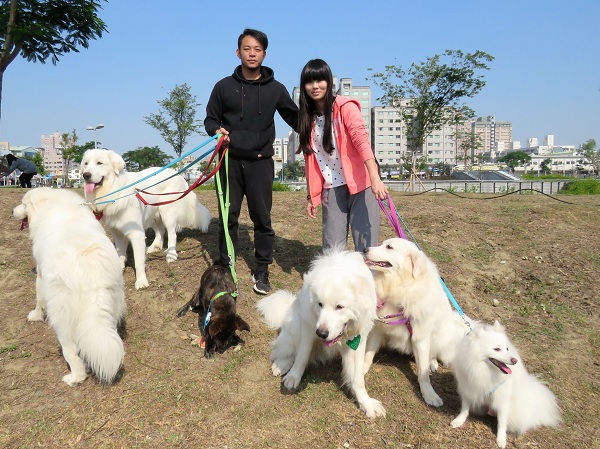 陳怡臻(右)帶著她養的4隻大白熊，及1隻狐狸犬、1隻米克斯從台中趕到台南參加活動。蕭士塔/攝