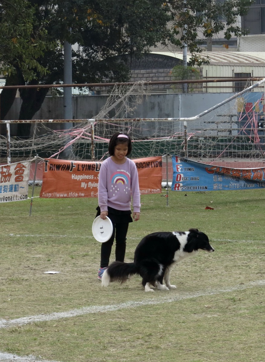 這隻狗在選手擲出飛盤之前大便,整場笑翻了還被扣5分。高維奇/攝