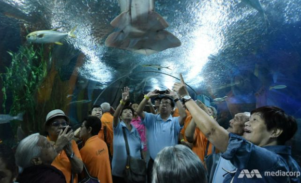 已於今年6月結束營業的新加坡「海底世界」，竟發生魟魚刺死保育員的意外。取自網路