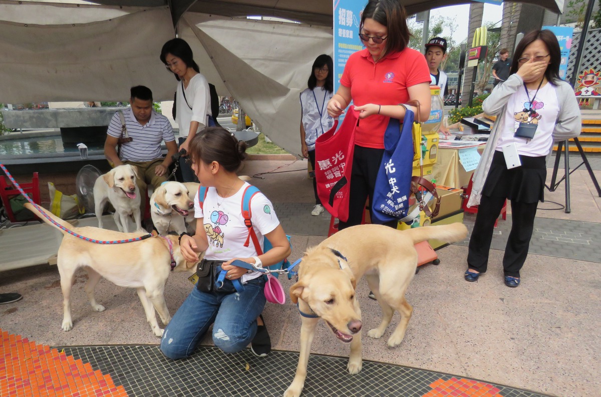 宣導義賣活動現場的導盲犬體驗區。高維奇/攝