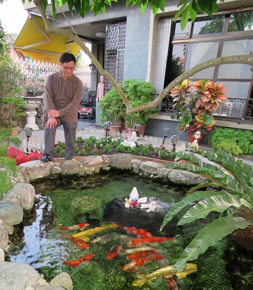 小提琴家蘇顯達善化老家的錦鲤池，設立已近50年。 蕭士塔/攝