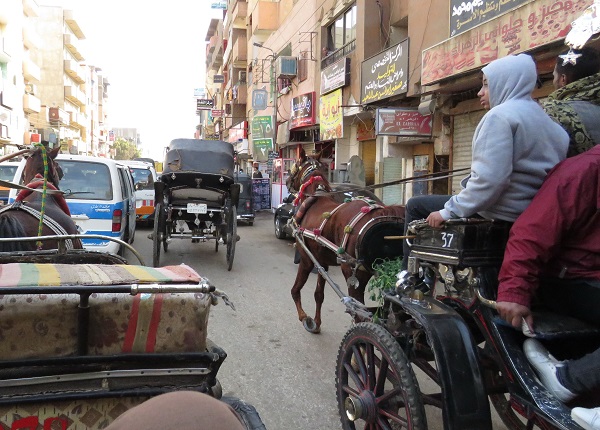 艾得夫古城的觀光馬車，在馬路上與機動車爭道，擁擠喧囂。 蕭士塔/攝