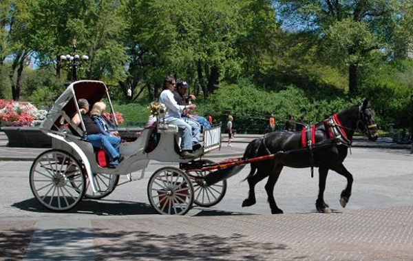 紐約市的觀光馬車自2016年起只能行駛於中央公園。取自centralparkpedicab.com
