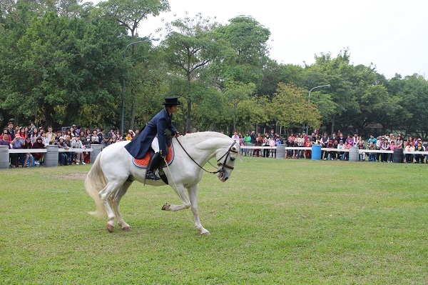台南市少有機會觀賞馬術表演或比賽，102年台南馬場前往烏山頭風景表演，觀眾掌聲不絕於耳。蕭士塔/攝