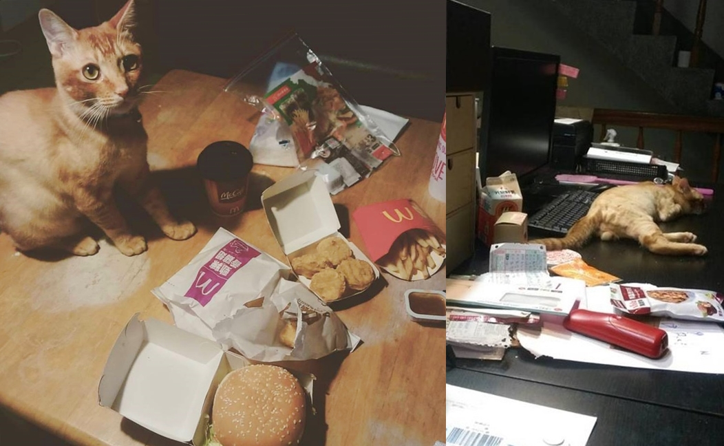 小麥生活照。　莊若宇/提供