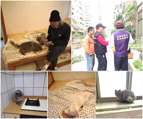 102年11月在法院主導之下,沒入貓咪的行動悉依法定程序走。王婕/提供