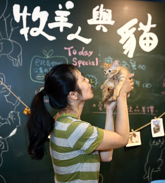 愛貓人汪紀佐一手打造「牧羊人與貓」,成為貓友親近貓咪和品味美食的園地。易俊帆/攝