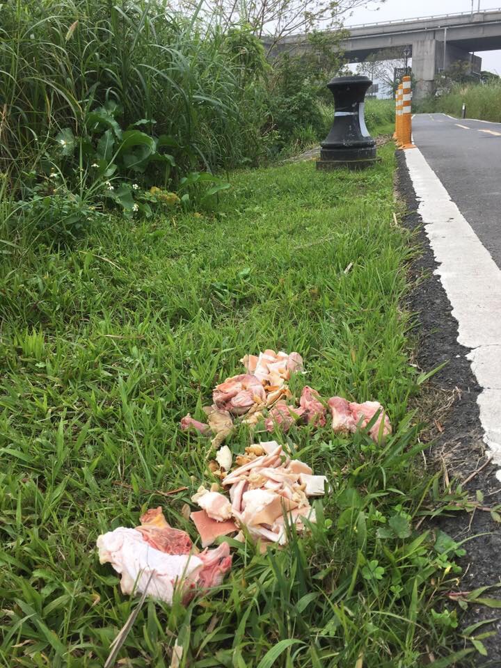 新北市河濱曾遭人丟置生肉餵食流浪動物。　匿名志工/提供