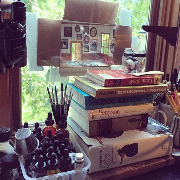 手作鳥屋就黏在費曲房間的玻璃窗上,是不是很妙? 取自thedodo.com