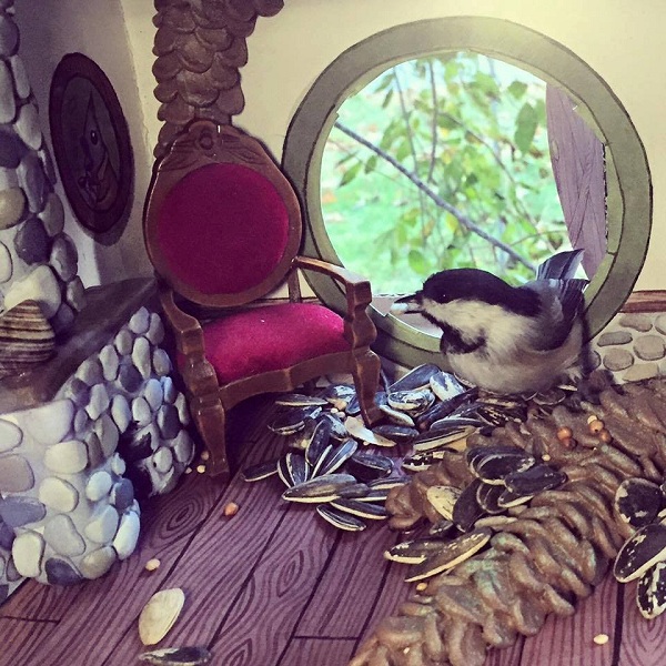 附有家具的精緻鳥屋,難怪這些嬌客要翩然降臨了。 取自thedodo.com