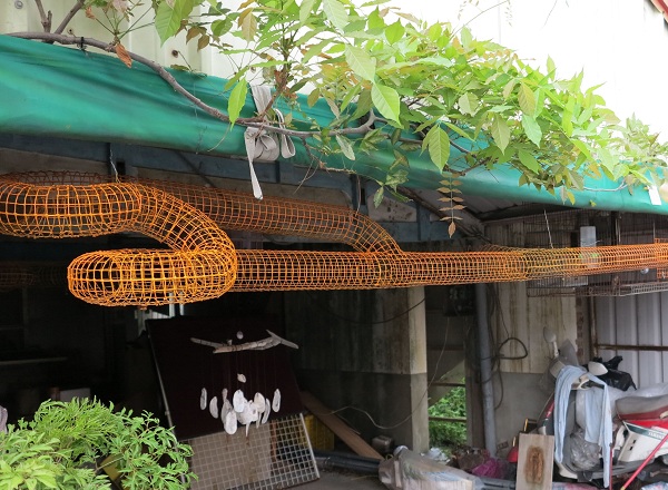 這位飼主以鐵絲網籠架設松鼠的「天空步道」。蕭士塔/攝