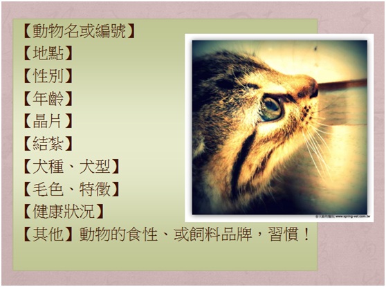 認養文一般必須具備的格式，不外乎是標明清楚動物的基本資料。瑭芯/製作