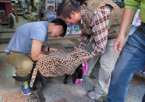 台南市動保處人員轉送李惠贈送的飼料及衣服,玩具行店者黃進德(右)與兒子立刻為妹妹穿上禦寒。蕭士塔/攝