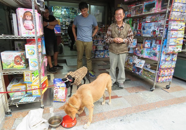 玩具行飼養的黃狗趁亂軍之際,將妹妹的飼料吃個精光,讓大家哄堂大笑。 蕭士塔/攝