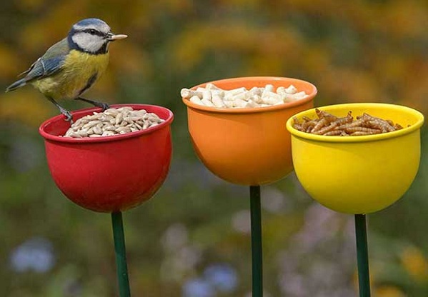 利用餵食器也可讓你的庭園有雀鳥來訪。 取自britishbirdlovers.co.uk