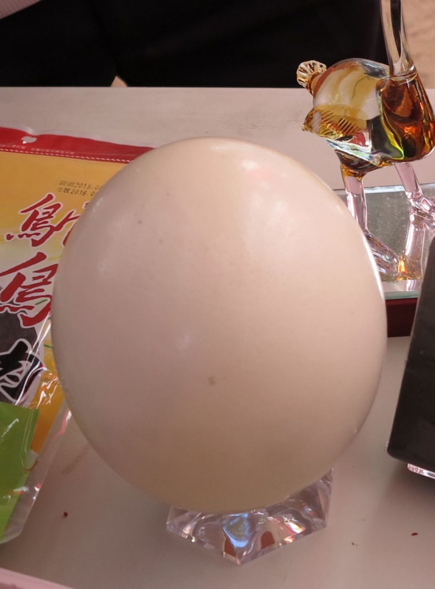 一粒鴕鳥蛋相當於20至30粒雞蛋的量，是世界最大的蛋，有人嘗試煮成茶葉蛋。高維奇/攝