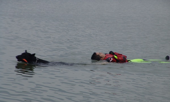 水中荷重拖拉,對搜救犬也不是問題。 周聰吉/提供