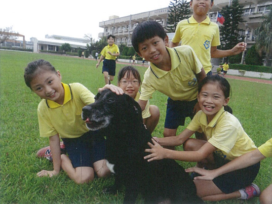 台中市水美國小的校犬小黑,是「愛笑犬計畫」中的模範犬隻。 台中市動保處/提供