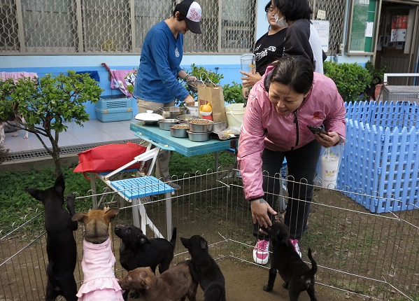 莊華亭(穿藍色上衣者)原本是想到收容所收集寫作材料，不料一踏入就不可自拔，多多參與志工活動。  蕭士塔/攝