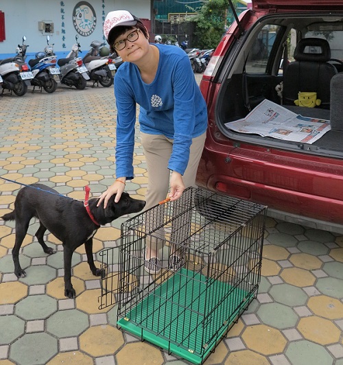 莊華亭開自己的車子，運送這隻成犬到認養的學生住所，以免學生以機車載送太危險。蕭士塔/攝