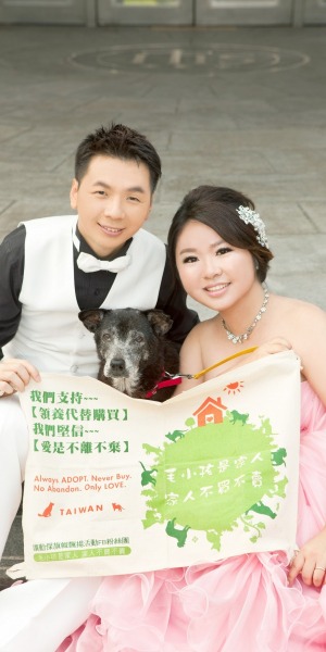 與校犬皮皮一起拍婚紗照