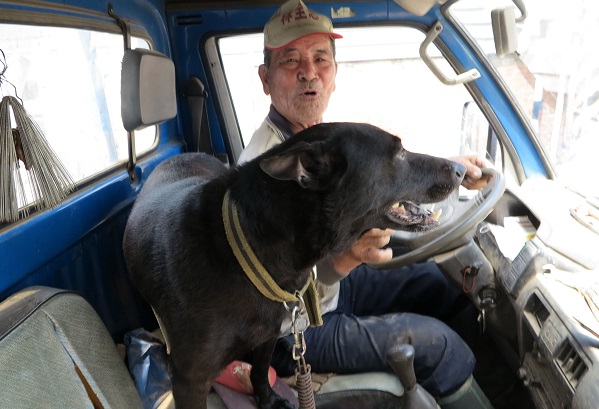 說到小黑的趣事，黃添旺眉開眼笑，忘了農事的疲勞。蕭士塔/攝