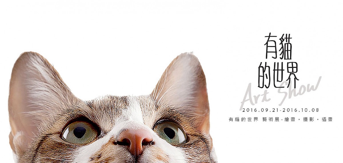有貓的世界。擷取自官方網站