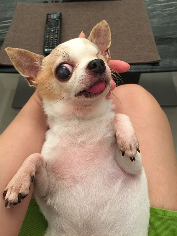 望望晚年健康神氣的模樣。陳蓁／提供