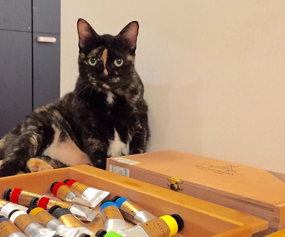 李瑾倫的愛貓剉冰。李瑾倫／提供