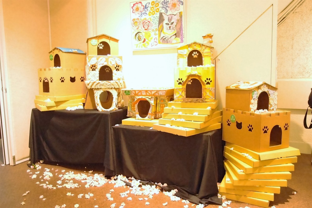 陳明芳女士的貓屋設計。李佳殷／攝