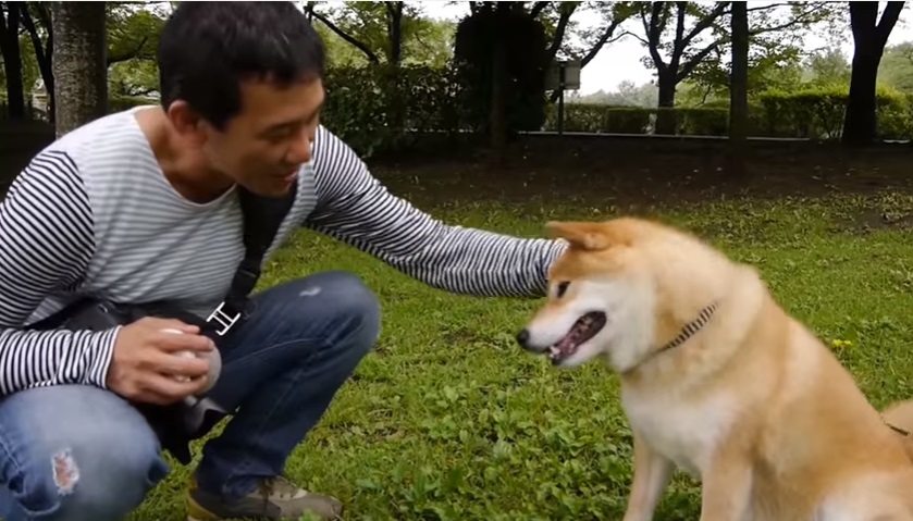 MARU與主人小野先生。翻攝自Youtube：Marutaro's頻道