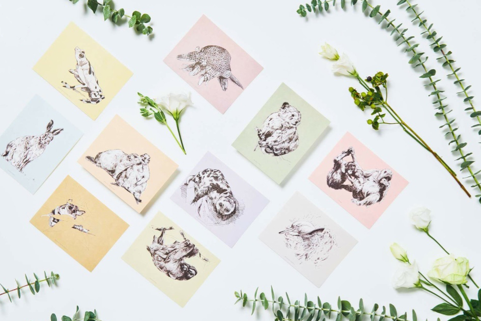 一卡一捐明信片集錦。花花/提供