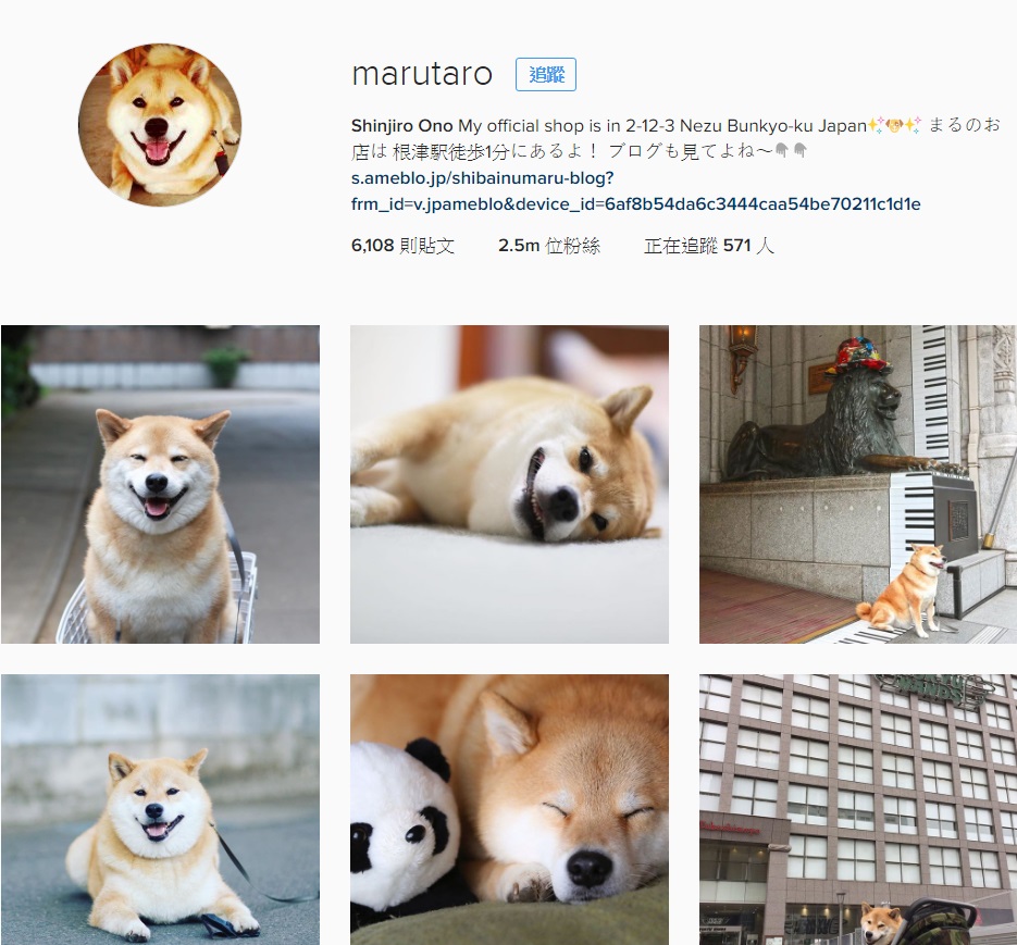 MARU中文官方網站首頁。取自Instagram：marutaro