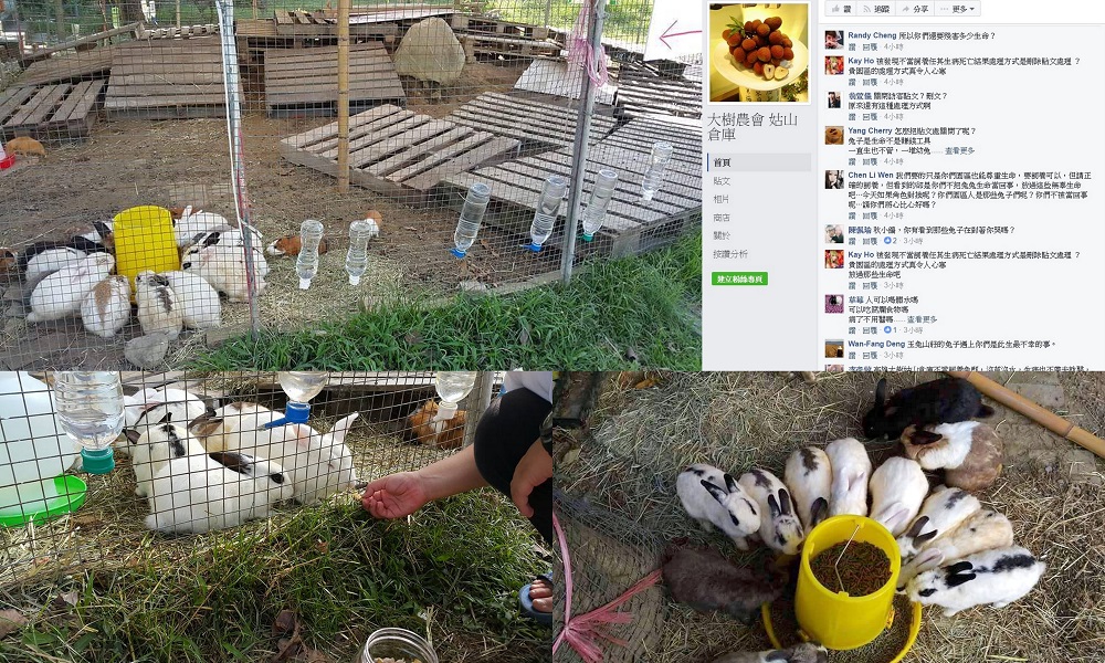 姑山倉庫由熱心兔友加裝的基本飲食設備，右上為兔友群起抗議的留言。 陳凱倫/提供、取自姑山倉庫粉絲專頁