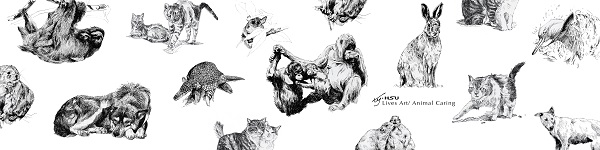 花花設計商店的主視覺。花花/提供