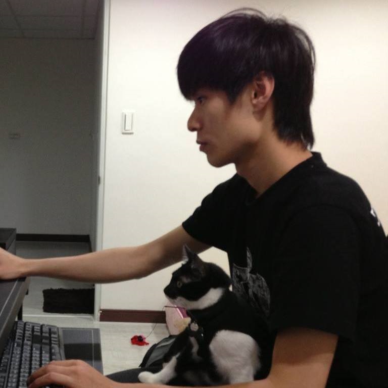 「艾認養」網站由陳信宏一人完成，因為政府資料無法做到動態更新，以致動物的狀態並不十分正確。  陳信宏/提供