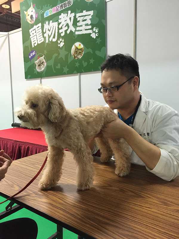 義診現場，郭文賢醫師為狗狗把脈。陳蓁／提供