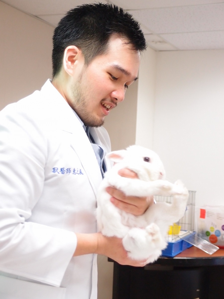 現場示範兔是亞洲動物福利協會的兔子AAWA。李佳殷／拍攝