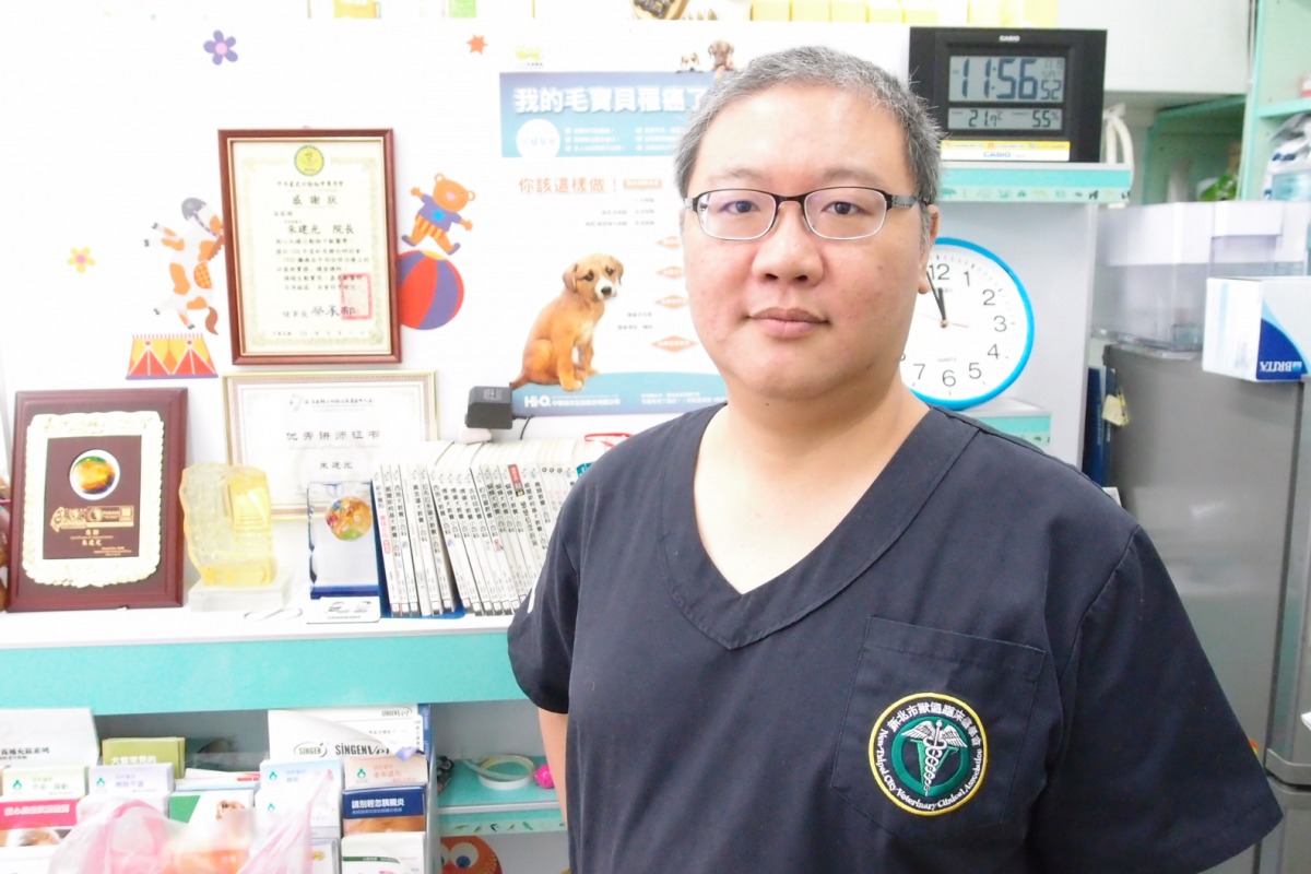 獸醫師朱建光的針灸治療，不僅用於貓狗身上，連兔子也受惠。李佳殷／攝