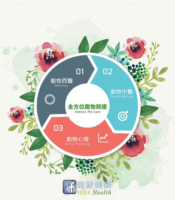 寵愛健康誌創刊理念說明圖。陳蓁／提供