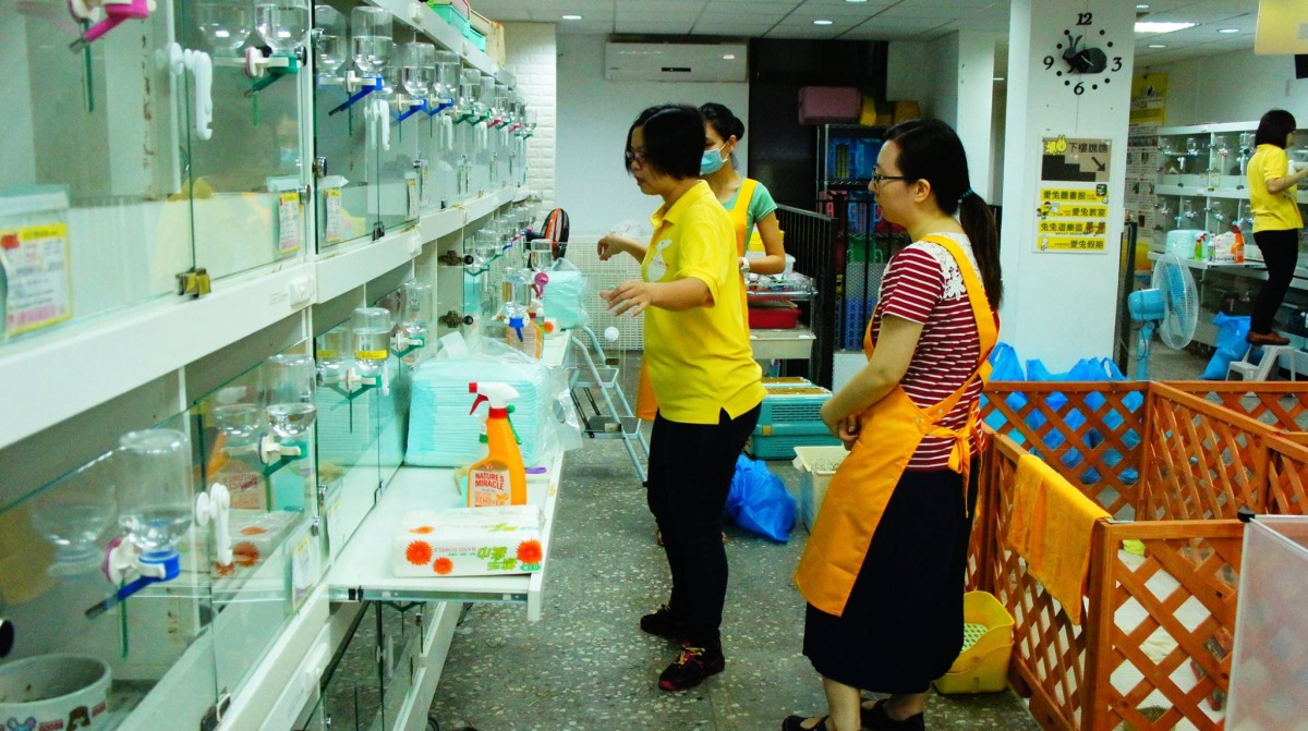 位於台北市內湖公寓3樓眾多棄兔的收容現場。 取自台灣愛兔協會臉書