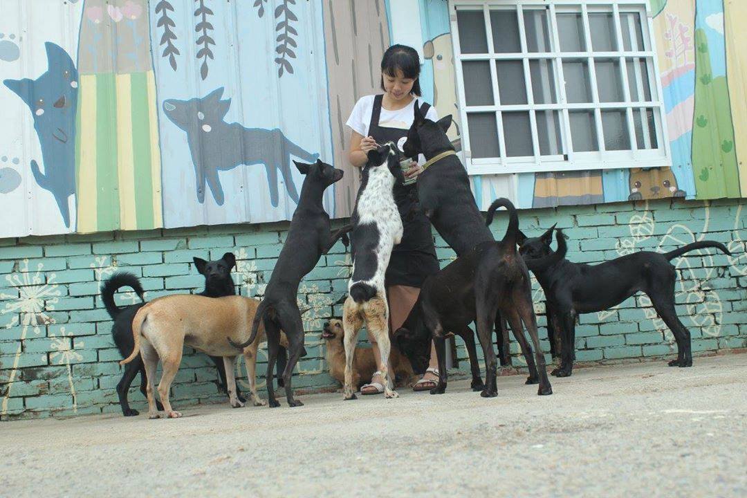 Berry與媽媽狗場收容的浪浪感情亦深。 取自幸福狗流浪中途臉書