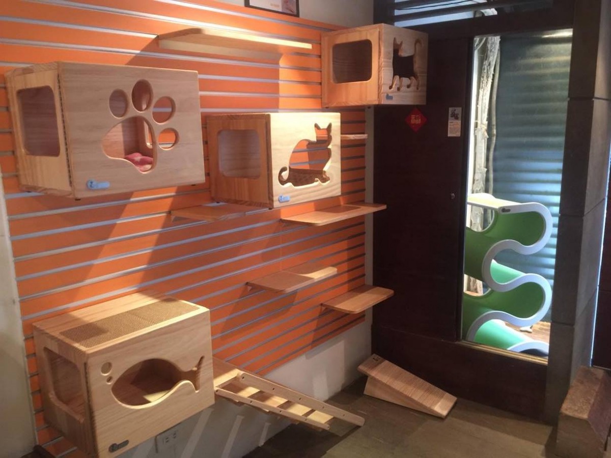 極簡咖啡館裡設有給貓孩玩耍的設施，前方為隔離室，若有外頭的貓孩要進到店內，必須先進入隔離室隔離一陣子。林妤亭/攝