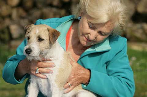 TTouch發明者－琳達‧泰林頓瓊斯博士－正為一隻狗進行TTouch。取自ttouch.com