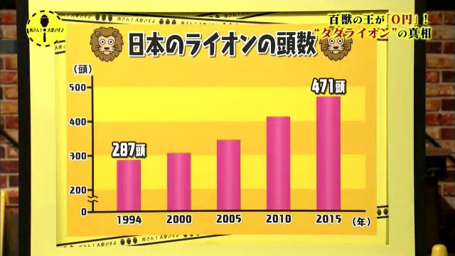 根據日本動物園水族館協會的統計，1994年全日本有287隻獅子，2015年已增為471隻。 翻攝自《NHK》