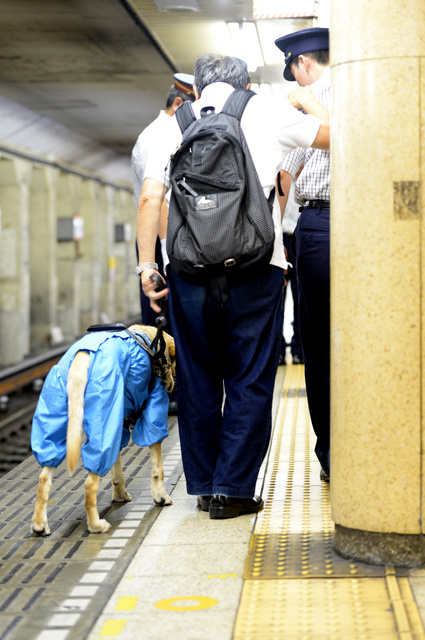 柱子與鐵軌間僅有約1.2公尺的空間，田中與尼可拉斯並排行走十分困難。 取自《朝日新聞》