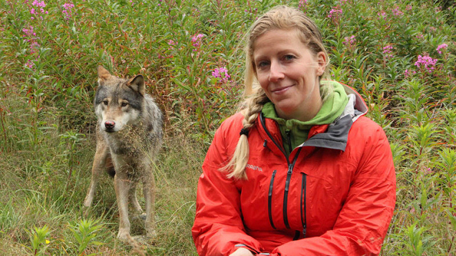 世界自然基金會（WWF）挪威分會執行長詹森（Nina Jensen）指責這是場「大屠殺」。 取自Yahoo! Japan