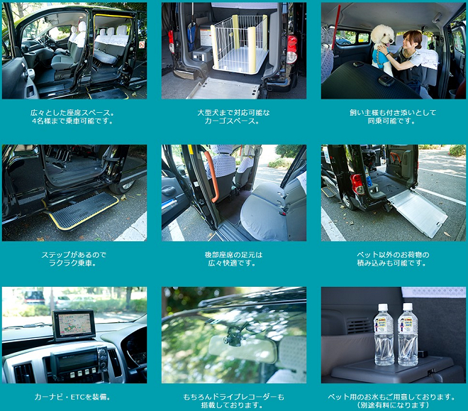 「PET TAXI」寵物專用計程車的車內環境。 翻攝自三和交通